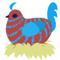 Fireworks, a red and sky chicken with a bar pattern