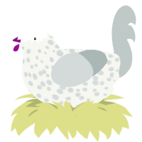 A white and silver chicken with a speckle pattern