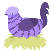 A lilac and overcast chicken with a bar pattern