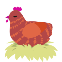 Manchego, a red and vermilion chicken with a bar pattern