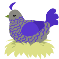 A ash and indigo chicken with a lace pattern