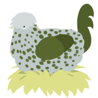A silver and olive chicken with a speckle pattern