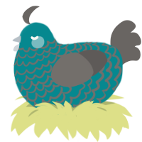 Ari, a teal and grey chicken with a lace pattern