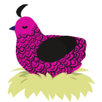 A fuchsia and sable chicken with a double-lace pattern