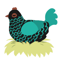 (unnamed), a sable and turquoise chicken with a lace pattern