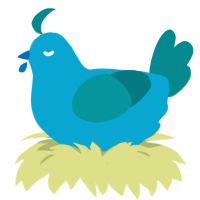 Kelp, a cerulean and teal chicken