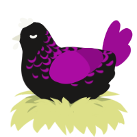 A sable and plum chicken with a half-lace pattern