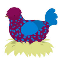 A wine and sapphire chicken with a speckle pattern