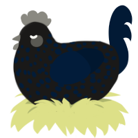 A sable and tumblr chicken with a speckle pattern