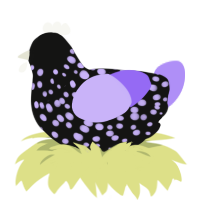 DARK GRAPE, a black and lilac chicken with a speckle pattern