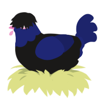 A sable and navy chicken with a head pattern
