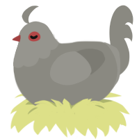 A ash chicken with a head pattern