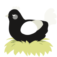 A sable and white chicken