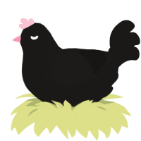 A sable chicken with a half-lace pattern