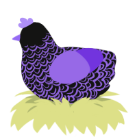 A black and blurple chicken with a double-lace pattern