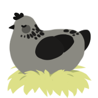 A ash and sable chicken with a neck-speckle pattern