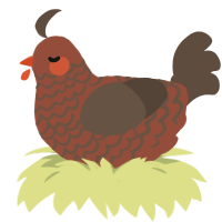 A russet and bark chicken with a lace pattern