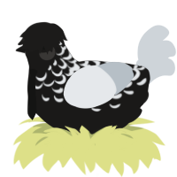 A sable and mist chicken with a half-lace pattern
