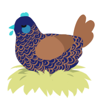 A navy and brown chicken with a double-lace pattern
