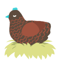 Hazelnut, a bark and russet chicken with a lace pattern