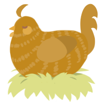A ochre and gold chicken with a bar pattern