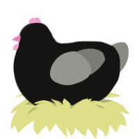 Colonel Pinktoes, a black and ash chicken