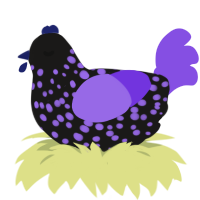 UV-A, a sable and blurple chicken with a speckle pattern