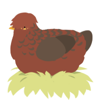 A russet and bark chicken with a half-lace pattern