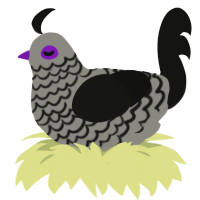 A ash and black chicken with a lace pattern