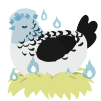 A silver and black chicken with a half-lace pattern