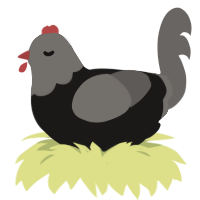 A sable and grey chicken with a head pattern