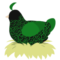 A black and leaf chicken with a double-lace pattern
