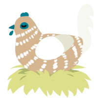 A beige and white chicken with a bar pattern