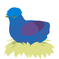 A sapphire and overcast chicken with a double-lace pattern