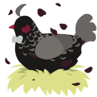 A sable and grey chicken with a half-lace pattern