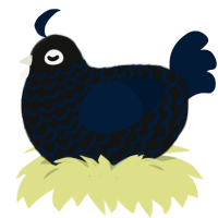 A black and tumblr chicken with a lace pattern