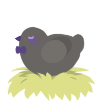 A grey chicken