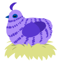 A lilac and indigo chicken with a bar pattern