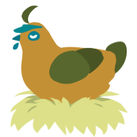 A gold and olive chicken