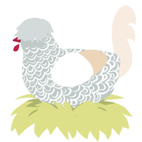 A silver and cream chicken with a double-lace pattern