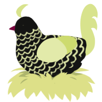 A black and lemon chicken with a lace pattern