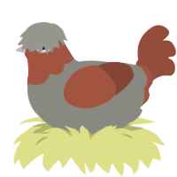 A ash and russet chicken with a head pattern