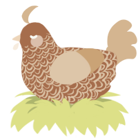 A brown and beige chicken with a double-lace pattern