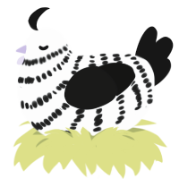 ivan, a mist and black chicken with a bar pattern