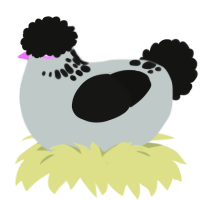 As foretold, a silver and black chicken with a neck-speckle pattern