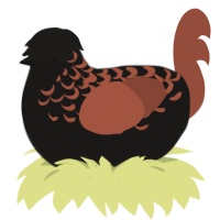 A sable and russet chicken with a half-lace pattern