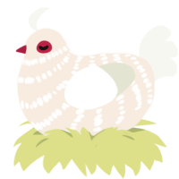 Ghost 2, a cream and white chicken with a bar pattern