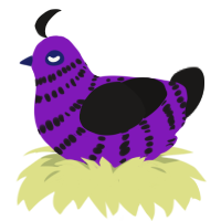 A violet and sable chicken with a bar pattern