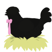 A black chicken with a double-lace pattern