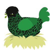 A black and viridian chicken with a double-lace pattern